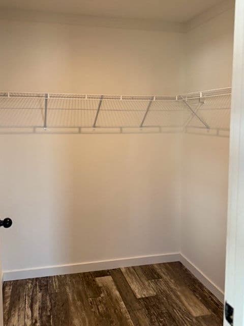 Manley interior home features